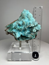 Load image into Gallery viewer, Chrysocolla Druzy Botryoidal Stalactites Pseudomorph after Malachite on Matrix from Congo • Fine Mineral Collector’s Showpiece
