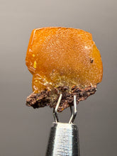 Load image into Gallery viewer, High-Grade Orange Wulfenite Collector Display Specimen | La Morita Mine, Chihuahua, Mexico
