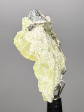 Load image into Gallery viewer, Vibrant Yellow Brucite Thumbnail Mineral Specimen | Collector Crystal from Killa Saifullah District in Balochistan Province, Pakistan
