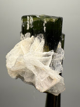 Load image into Gallery viewer, Dark Green Cap Stak Nala Tourmaline with Cleavelandite Flower – Haramosh Mountains, Pakistan | Thumbnail Specimen
