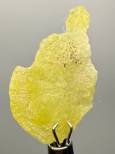 Load image into Gallery viewer, Vibrant Yellow Brucite Thumbnail Mineral Specimen | Collector Crystal from Killa Saifullah District in Balochistan Province, Pakistan
