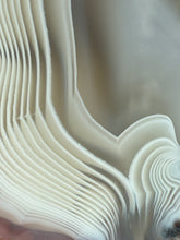 Load image into Gallery viewer, Rare Moroccan White Agate w Incredible Parallax Collected by Indigenous Nomads | Ancient Beauty from the Sahara
