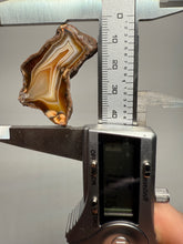 Load image into Gallery viewer, High-Grade Indonesian Sumatra Agate Pair – Vibrant Banded Chalcedony with Rich Color Zoning | Ethical Lapidary &amp; Collector Display Specimens
