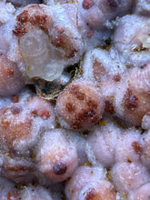 Load image into Gallery viewer, “Goblin Chalcedony” Pink &amp; Orange Druzy Botryoidal Stalactites — Tichka Massif, High Atlas, Morocco
