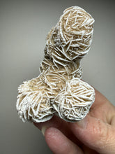 Load image into Gallery viewer, Desert Rose Selenite (Gypsum) — Mineral Display Specimen | Mexico
