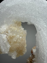 Load image into Gallery viewer, Moroccan Ram’s Horn Selenite (Gypsum) Crystal Display Specimen

