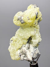 Load image into Gallery viewer, Vibrant Yellow Brucite Thumbnail Mineral Specimen | Collector Crystal from Killa Saifullah District in Balochistan Province, Pakistan
