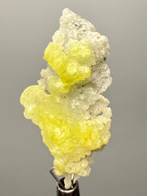 Load image into Gallery viewer, Vibrant Yellow Brucite Thumbnail Mineral Specimen | Collector Crystal from Killa Saifullah District in Balochistan Province, Pakistan
