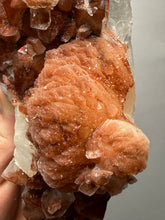 Load image into Gallery viewer, Rare Red Apophyllite + Druzy Red Stilbite Flowers — Deccan Traps, India
