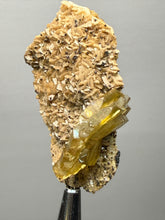 Load image into Gallery viewer, Vibrant Yellow Barite | Collector Display Specimen | Taourirt Mine, Morocco
