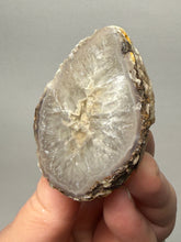 Load image into Gallery viewer, Natural Laguna Agate Collector Mineral Specimen | Chihuahua, Mexico
