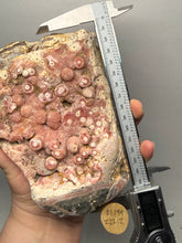 Load image into Gallery viewer, Rhodochrosite Free Form Collector Mineral Display Specimen — Argentina

