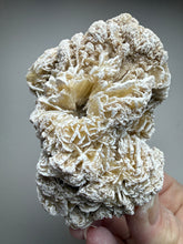 Load image into Gallery viewer, Desert Rose Selenite (Gypsum) — Mineral Display Specimen | Mexico
