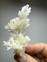 Load image into Gallery viewer, High-Grade Coral Aragonite Crystal Specimen – Wenshan Mine, Yunnan, China
