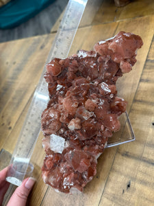 Red Druzy Phantom Apophyllite w Stilbite VERY RARE • Maharashtra, India