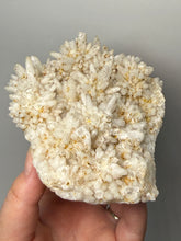 Load image into Gallery viewer, Sulawesi Golden Speckle Bloom Quartz Cluster | Radiant Quartz Crystal Display Specimen | Indonesia
