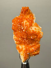 Load image into Gallery viewer, Natural Vanadinite on Matrix | Collector Mineral Specimen | Morocco
