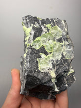Load image into Gallery viewer, High-Grade Green Wavellite Collectors Specimen - Radiating Botryoidal Crystal Formation - Arkansas, USA
