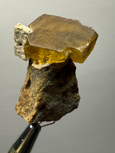 Load image into Gallery viewer, Vibrant Yellow Barite | Collector Display Specimen | Taourirt Mine, Morocco
