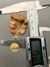 Load image into Gallery viewer, Chalcedony Quartz Rose Agate Collector Mineral Specimen – Morocco
