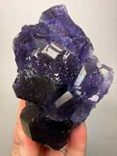 Load image into Gallery viewer, High-Grade “Tanzanite” Fluorite Cluster — Quan Zhou, Yongchun County, Fujian, China | Collector Mineral Specimen
