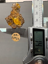 Load image into Gallery viewer, High-Grade Orange Wulfenite Collector Display Specimen | La Morita Mine, Chihuahua, Mexico
