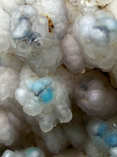 Load image into Gallery viewer, Blue-Green Chrysocolla in Botryoidal Chalcedony Cabinet Specimen | Indonesia
