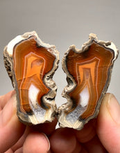 Load image into Gallery viewer, Indonesian Sumatra Agate Pair – Vibrant Banded Chalcedony with Rich Color Zoning | Ethical Lapidary &amp; Collector Display Specimens
