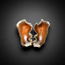 Load image into Gallery viewer, Indonesian Sumatra Agate Pair – Vibrant Banded Chalcedony with Rich Color Zoning | Ethical Lapidary &amp; Collector Display Specimens
