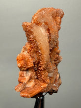 Load image into Gallery viewer, Chalcedony Quartz Rose Agate Collector Mineral Specimen – Morocco
