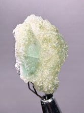 Load image into Gallery viewer, Luminous Mint Apophyllite with Glittering Druzy Sugar Quartz – India
