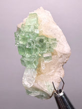 Load image into Gallery viewer, Green Radial “Disco Ball” Apophyllite | Maharashtra, India
