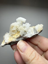 Load image into Gallery viewer, Moroccan Ram’s Horn Selenite (Gypsum) Crystal Display Specimen
