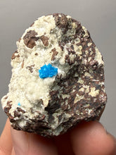 Load image into Gallery viewer, Rare Electric Blue Pentagonite on Druzy Matrix – Collector Mineral Specimen | India
