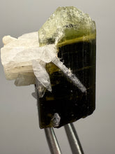 Load image into Gallery viewer, Green Cap Stak Nala Tourmaline with Cleavelandite – Haramosh Mountains, Pakistan | Thumbnail Specimen

