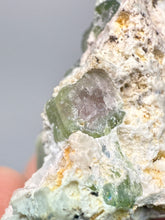 Load image into Gallery viewer, Watermelon Tourmaline on Quartz Matrix – Collector Mineral Specimen from Pakistan
