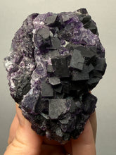 Load image into Gallery viewer, High-Grade Rare Purple-Green-Blue Cubic Fluorite | Cabinet Mineral Collector Specimen | Zhejiang Province, China
