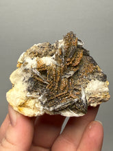 Load image into Gallery viewer, Natural Vanadinite on Matrix | Collector Mineral Specimen | Morocco

