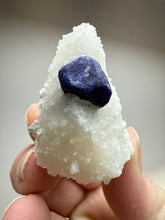 Load image into Gallery viewer, Afghan Lazurite Specimen | Deep Blue Lapis-Grade Crystal on Matrix | Collector Display Mineral
