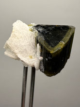 Load image into Gallery viewer, Green Cap Stak Nala Tourmaline with Cleavelandite – Haramosh Mountains, Pakistan | Thumbnail Specimen

