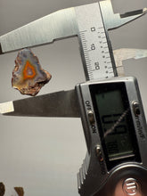 Load image into Gallery viewer, Lot of 9 Small Malawi Agate Halves – Polished Rare Colorful Collector Specimens
