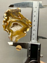 Load image into Gallery viewer, Premium Sumatra Agate (Banded Chalcedony) Display Specimen | Indonesia
