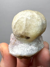 Load image into Gallery viewer, Rare Botryoidal Yellow Fluorite on Quartz Matrix  Collector Mineral Specimen – Maharashtra, India
