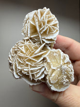 Load image into Gallery viewer, Desert Rose Selenite (Gypsum) — Mineral Display Specimen | Mexico
