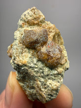 Load image into Gallery viewer, Hessonite Garnet Cluster on Matrix – Natural Collector Specimen from Pakistan | High-Grade Orange-Red Garnet Crystals
