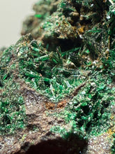 Load image into Gallery viewer, Brochantite Collector Mineral Specimen – Vivid Green Copper Crystals from Morocco
