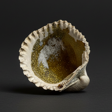 Load image into Gallery viewer, Bivalve (Pelecypoda) Fossil Sea Shell with Chalcopyrite | Mineralized Fossil Specimen | Indonesia
