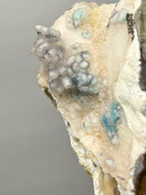 Load image into Gallery viewer, Blue-Green Chrysocolla in Botryoidal Chalcedony Cabinet Specimen | Indonesia
