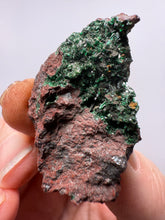Load image into Gallery viewer, Brochantite Collector Mineral Specimen – Vivid Green Copper Crystals from Morocco
