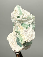Load image into Gallery viewer, Pink Morganite, Blue Green Indicolite &amp; Purple Lepidolite Mineral Specimen from Pakistan – Collector Grade Pegmatite Piece
